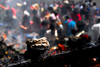 Kathmandu valley, near Pharping village, Nepal: Dakshinkali temple complex - ghee lamp and crowd during festival - photo by J.Pemberton