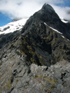 30 New Zealand - South Island - Homer Saddle, Fiordland National Park - Southland region (photo by M.Samper)