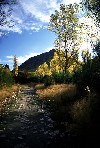 New Zealand - South island - Arrowtown: quiet path (photographer: Rob Neil)