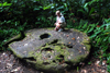 Airai state, Babeldaob island, Palau: Yap stone Money, which was quarried in Palau - notice the scale - Rai stones - limestone disks - photo by B.Cain