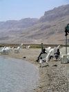 Palestine - West Bank - Dead Sea: mud bathers (photo by R.Wallace)