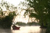 Paraguay - Aregua: Boat and vegetation on the lake Ypacarai / lago Ypacarai (photo by Andre Marcos Chang)