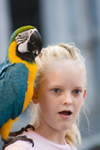 Puerto Rico - San Juan: Peurto Rico lifestyles - girl with parrot (photo by D.Smith)