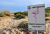 Baia di Chia, Domus de Maria municipality, Cagliari province, Sardinia / Sardegna / Sardigna: sand dunes by the lagoon - sign  do not disturb the flamingos - vietato disturbare e molestari i fenicotteri - photo by M.Torres