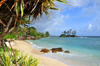 Mahe, Seychelles: Port Glaud - vegetation, beach and Petite ile - photo by M.Torres