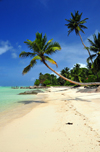 Mahe, Seychelles: Anse Royal - beach - golden sand and a touch of paradise - photo by M.Torres