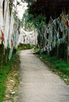 Sikkim - Rumtek: Enchey monastery - prayer flags - photo by G.Frysinger