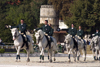 Slovenia - Lipica / Lipizza - Goriska region: Lipica stud farm - dressage competitors on parade - photo by I.Middleton