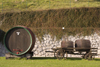 Slovenia - Wine roads on outskirts of Brezice - barrels - Lower Carniola / Dolenjska region - photo by I.Middleton