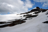 South Georgia Island - Husvik - slope - Antarctic region images by C.Breschi