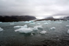 South Georgia Island - Hutsvik - floating ice from the glacier - Antarctic region images by C.Breschi