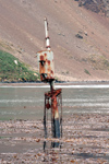 South Georgia Island - Leith Harbour - mast of sunken vessel - Antarctic region images by C.Breschi