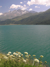 Switzerland - Maloja / Maloggia - Graubnden / Grigioni canton - flowers and Lake Silvaplana / Silvaplanersee - photo by J.Kaman