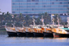 Dar es Salaam, Tanzania: fishing fleet - trawlers and Kilimanjaro Hotel Kempinski Dar Es Salaam - Kivukoni Street - photo by M.Torres