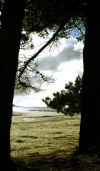 Tasmania - Sister's beach - Waratah-Wynyard municipality (photo by Fiona Hoskin)