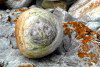 Tasmania - Rocky Cape: rock formations - North Western Tasmania (photo by Fiona Hoskin)