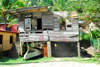 Maracas Bay, Tobago: house destroyed by a tornado - building on stilts - waterfront - photo by E.Petitalot