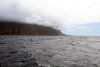 Tristan da Cunha: cliffs - photo by C.Breschi