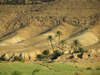 Tunisia - Chebika: palms (photo by J.Kaman)