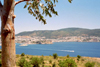 Bodrum - Mugla Province, Aegean region, Turkey: eucalyptus, the bay and Saint Peter's Crusaders castle, now Bodrum Underwater Archaeological Museum - architect Heinrich Schlegelholt - photo by M.Bergsma