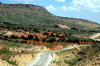 Turkey - Mardin: road to Dayr Zafaran - the Saffron Monastery - photo by C. le Mire