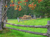 Transcarpathia / Zakarpattya, Ukraine: countryside around Jablonica - fence - farmers loading hay - photo by J.Kaman