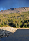 Roosevelt National Forest, Larimer County, Colorado, USA: Joe Wright reservoir and the forest - CO-14 road - Poudre Canyon Hwy - photo by M.Torres