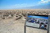 Death Valley National Park, California, USA: Devil's Golf Course - sign and halite salt crystal formations against the Panamint Range - photo by M.Torres