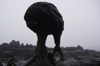 21 Venezuela - Bolivar - Canaima NP - Alien-like rock formation at the top of Roraima - photo by A. Ferrari