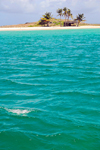 Los Testigos islands, Venezuela: beach at Testigo Grande island - photo by E.Petitalot