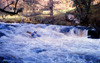 Wales - Bala (Gwynedd county): white water kayaking - Mill Fall, River Treweryn  - photo by D.Jackson