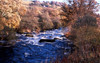 Wales - Bala (Gwynedd county): upper reaches of the River Treweryn - photo by D.Jackson