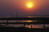 Lake Kariba, Mashonaland West province, Zimbabwe: sunset and dead trees - drowned forest - photo by C.Lovell